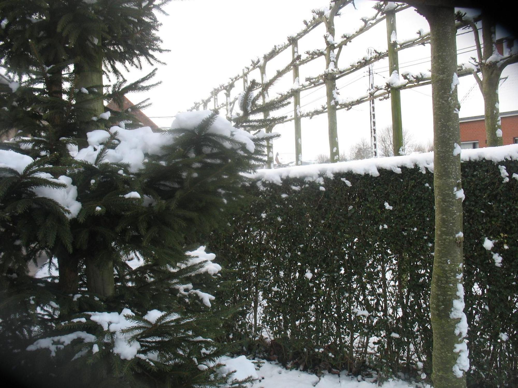 B&B Greenhouse 37 Langemark ภายนอก รูปภาพ